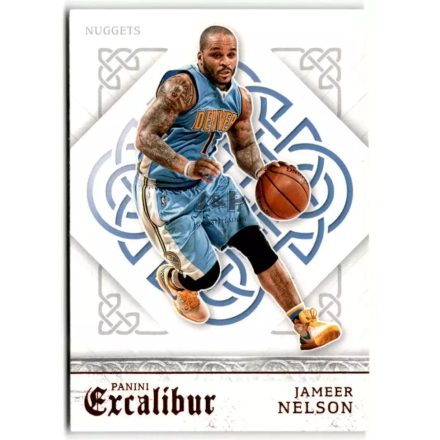 2015-16 Panini Excalibur #50 Jameer Nelson