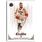 2014-15 Panini Excalibur #14 Jonas Valanciunas