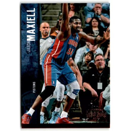 2012-13 Panini Threads #40 Jason Maxiell