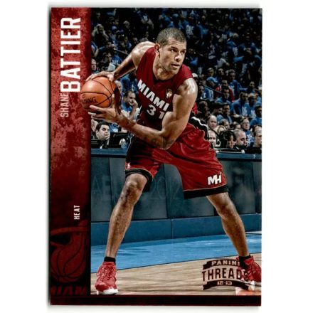 2012-13 Panini Threads #80 Shane Battier