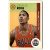 2012-13 Panini Past and Present #19 Derrick Rose