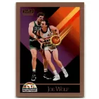 1990-91 SkyBox #381 Joe Wolf