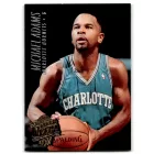 1994-95 Ultra #17 Michael Adams