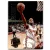 1994-95 Ultra #81 Ron Harper