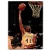 1994-95 Ultra #84 Elden Campbell
