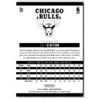 2014-15 Hoops #25 Taj Gibson