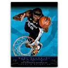 2013-14 Panini #83 Zach Randolph