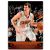 2013-14 Panini #112 Goran Dragic