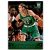 2013-14 Panini #161 Kelly Olynyk RC