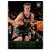 2013-14 Panini #165 Nate Wolters RC