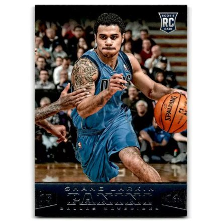 2013-14 Panini #192 Shane Larkin RC