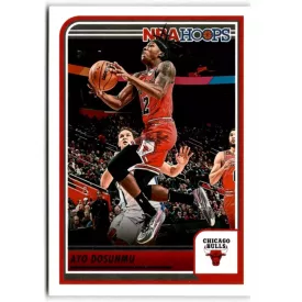 2023-24 Hoops #12 Ayo Dosunmu