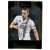 2016-17 Select #80 Gylfi Sigurdsson