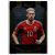 2016-17 Select #74 Aaron Ramsey