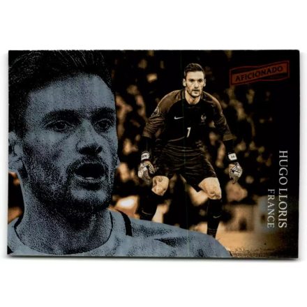 2016-17 Panini Aficionado #120 Hugo Lloris