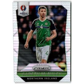   2016 Panini Prizm UEFA Euro '16 Prizms #68 Gareth McAuley