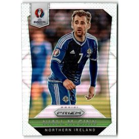 2016 Panini Prizm UEFA Euro '16 Prizms #71 Niall McGinn