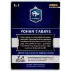 2016 Panini Prizm UEFA Euro '16 Prizms Flash #8 Yohan Cabaye