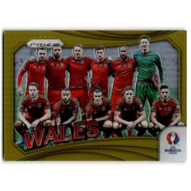 2016 Panini Prizm UEFA Euro '16 Team Photos Prizms Gold #21 Wales