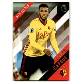   2017-18 Topps English Premier League Gold #134 Etienne Capoue
