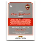 2016-17 Donruss Holographic #68 Sergei Ignashevich