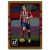 2016-17 Donruss Gold #16 Diego Godin