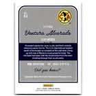 2016-17 Donruss Swirlorama #63 Ventura Alvarado