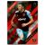 2017-18 Topps English Premier League Gold Red #146 Aaron Cresswell