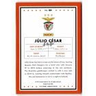 2015 Donruss #60 Julio Cesar