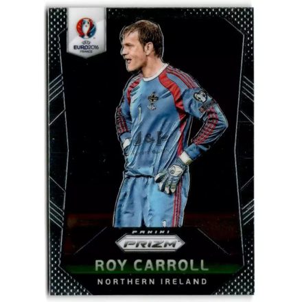 2016 Panini Prizm UEFA Euro '16 #69 Roy Carroll