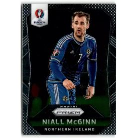 2016 Panini Prizm UEFA Euro '16 #71 Niall McGinn