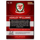 2016 Panini Prizm UEFA Euro '16 #120 Ashley Williams