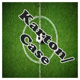 Karton/Case